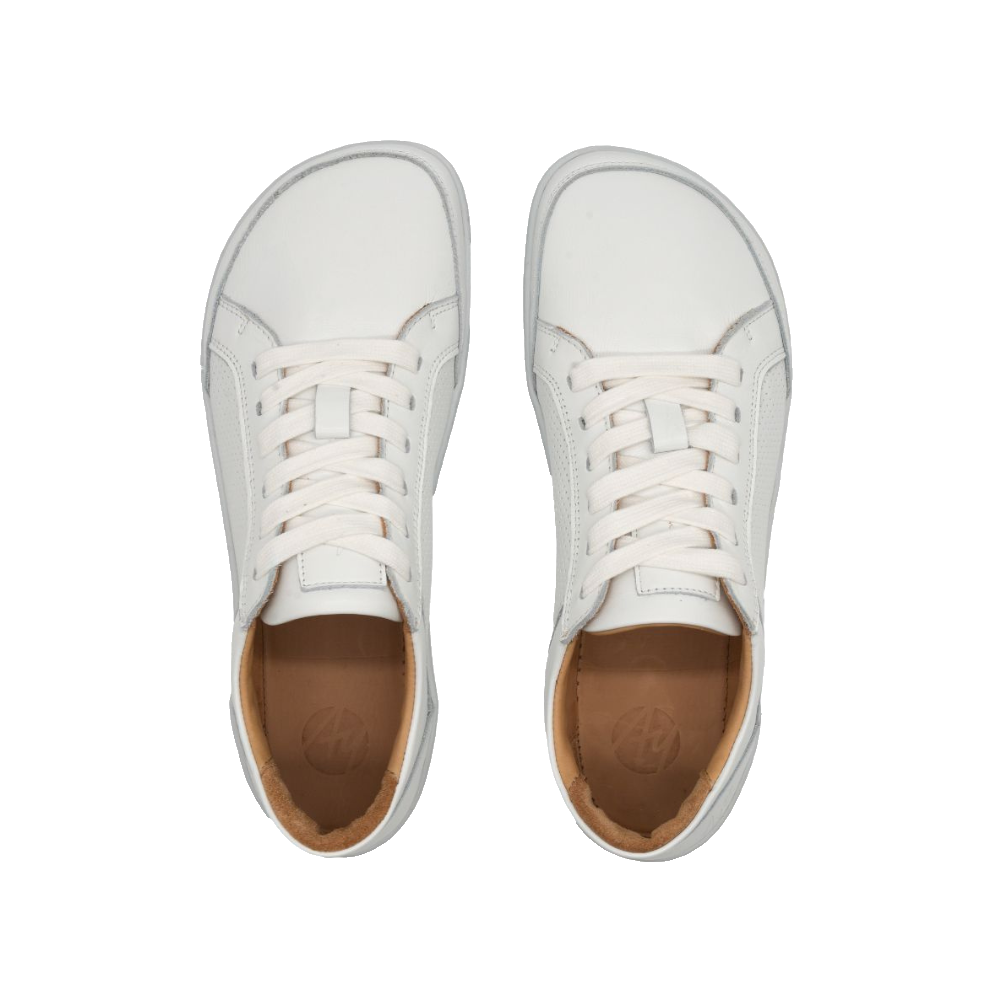 Aylla Ari Dam White sneaker, ovanifrån