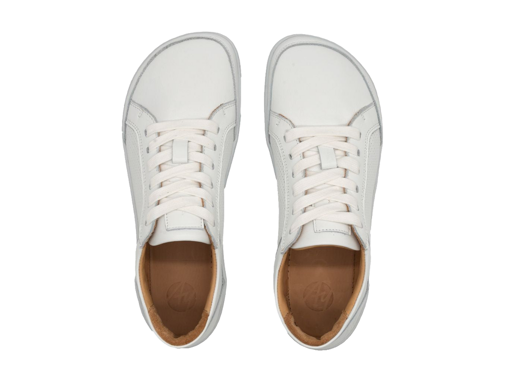Aylla Ari Herr White sneaker, ovanifrån